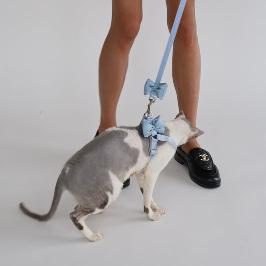 Royal Bow – stylový postroj s vodítkem pro kočky i pejsky