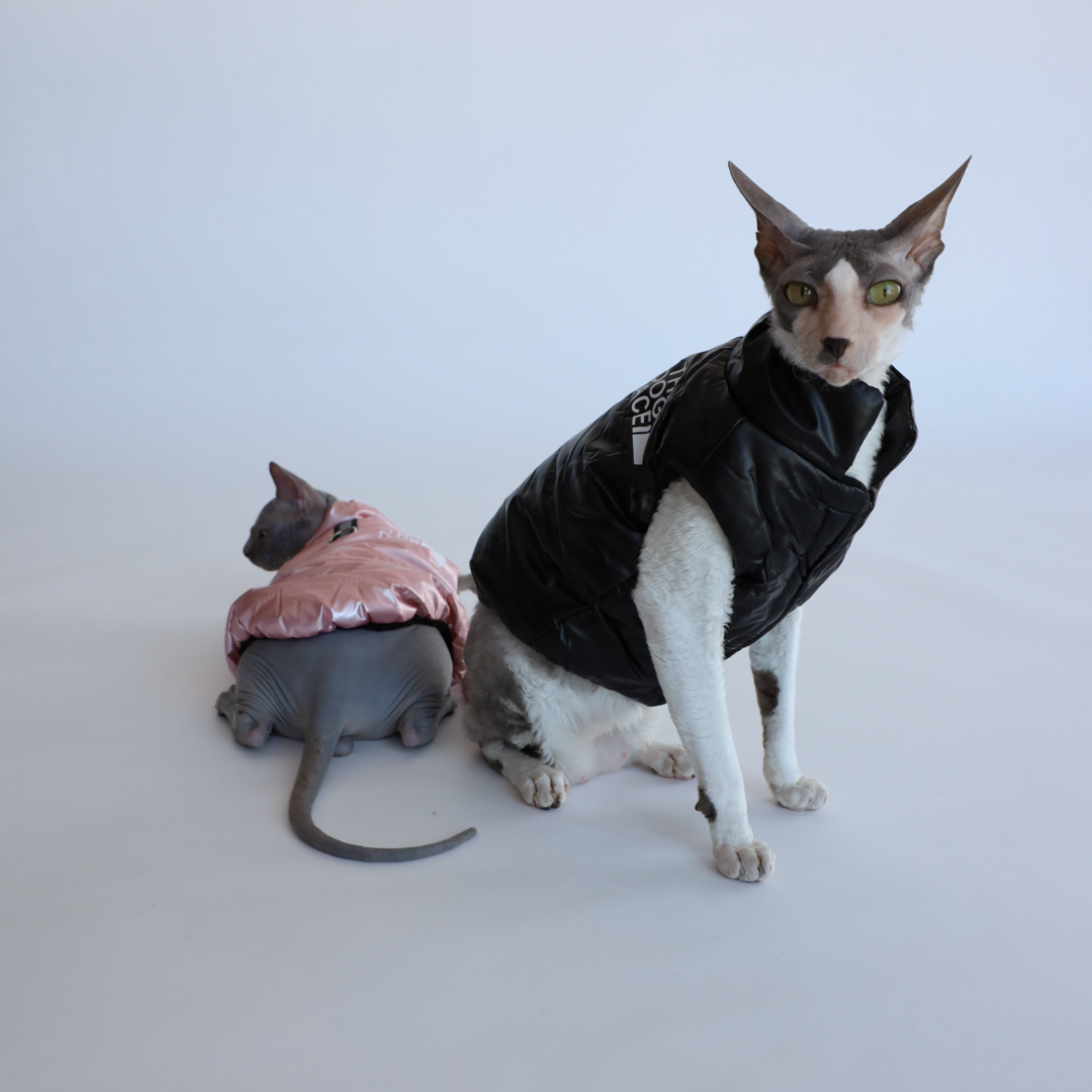 Luxusní zimní bunda pro psy a kočky THE DOG FACE