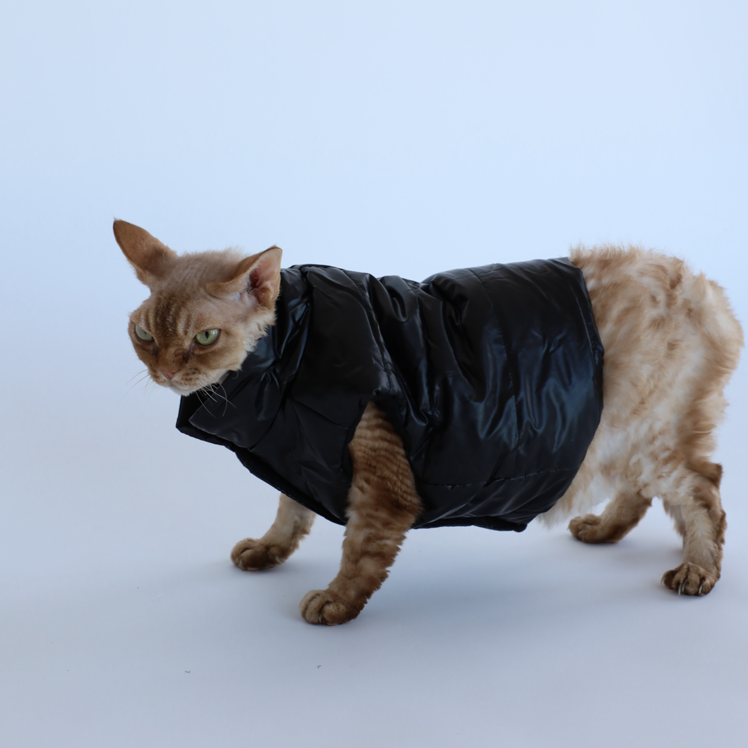 Luxusní zimní bunda pro psy a kočky THE DOG FACE