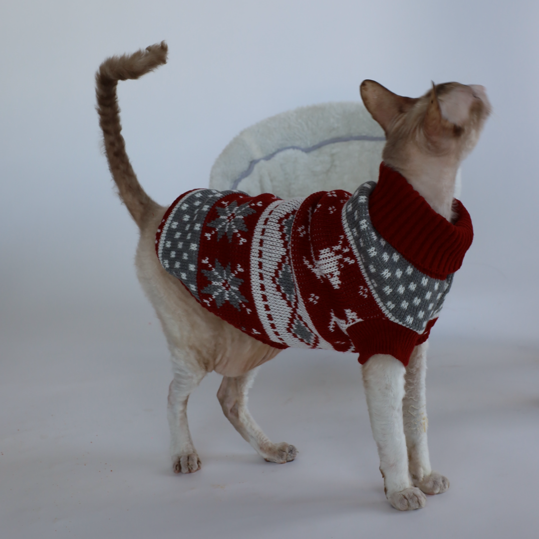 Vánoční svetr pro kočky a malé psy