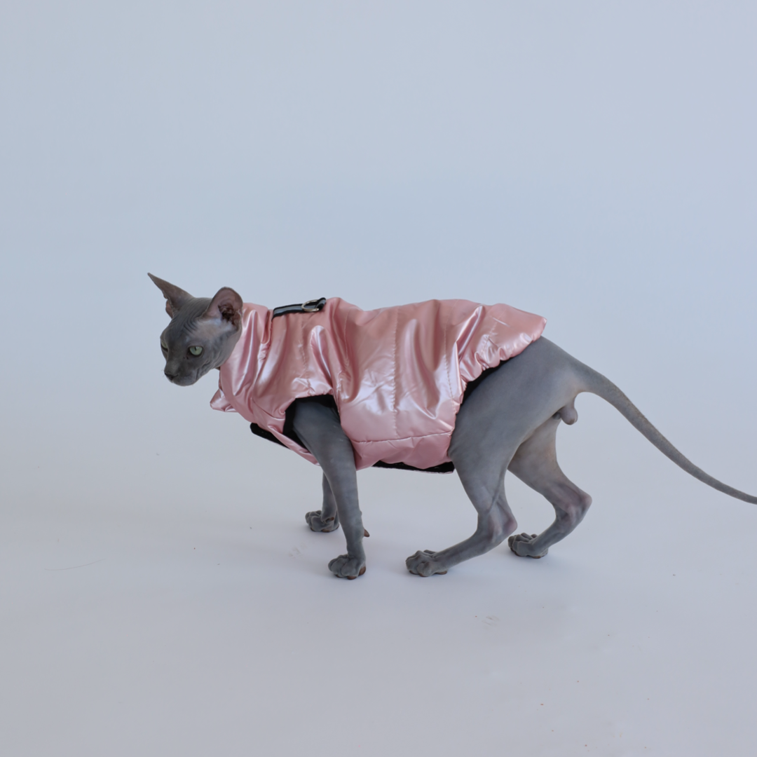 Luxusní zimní bunda pro psy a kočky THE DOG FACE