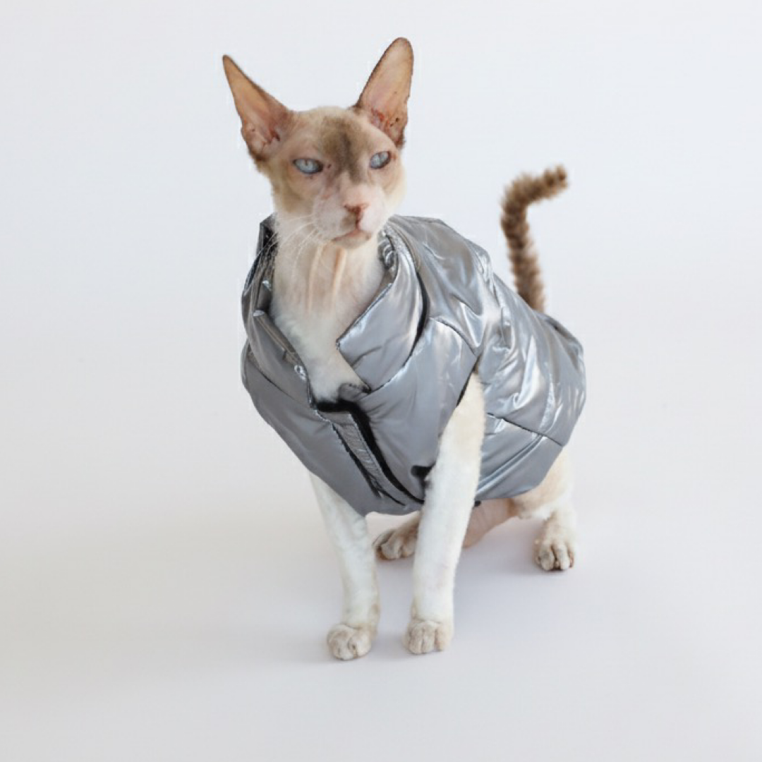 Luxusní zimní bunda pro psy a kočky THE DOG FACE