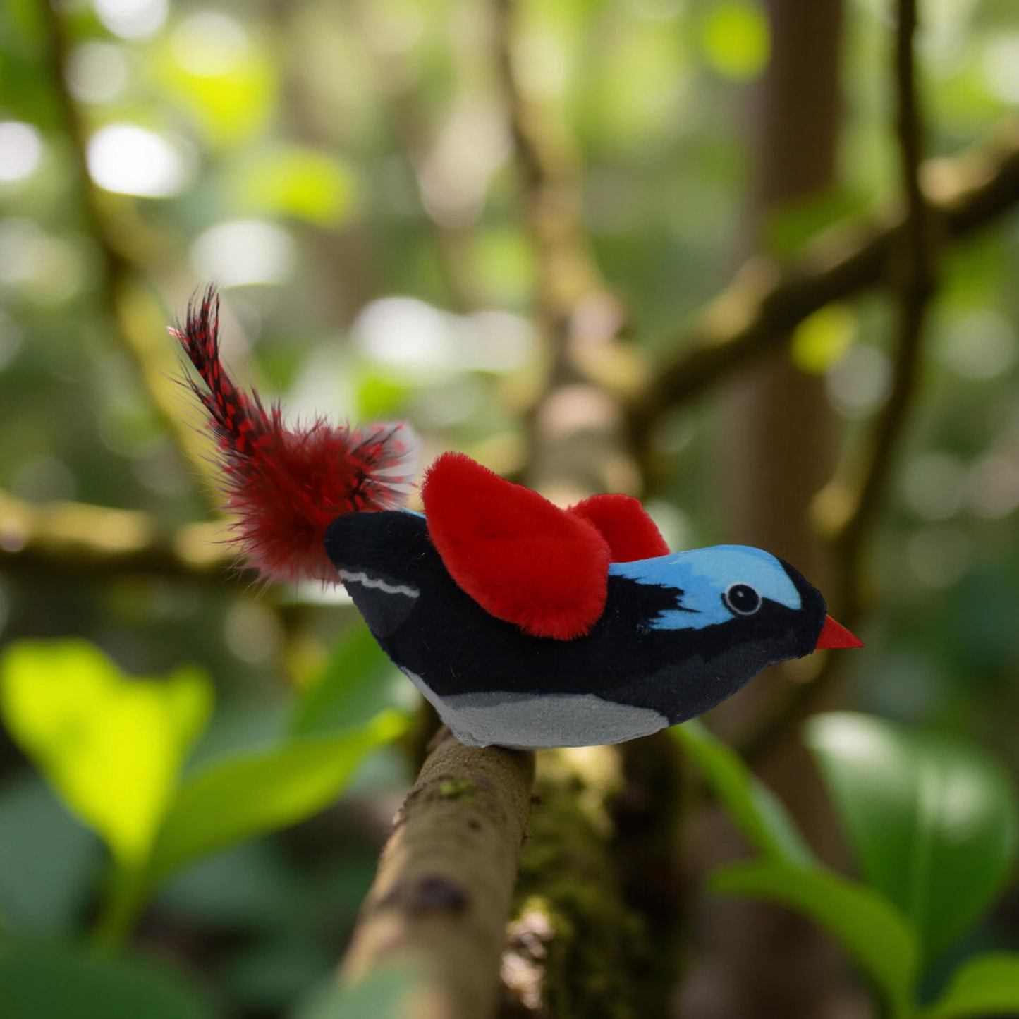 Malý zpívající ptáček – zvuková hračka pro kočky